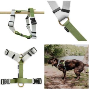 Arnés de Biothane Verde y Gris Hey Lana